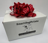 Complete Screen Printing Kit