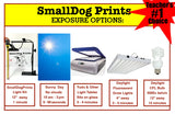 8.5" x 11" Transparency Refills (Ink Jet Only)